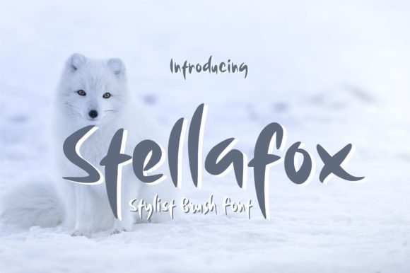 A Designer's Guide to the Stellafox Display Font