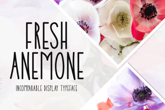 Fresh Anemone Font for Clearer Campaign Messages